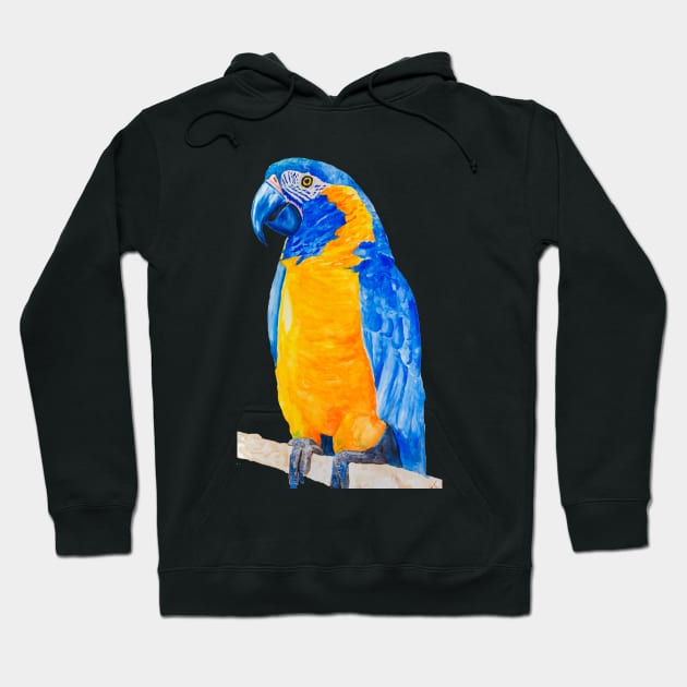 blue throated macaw parrot bresil watercolor art print Hoodie by Oranjade0122